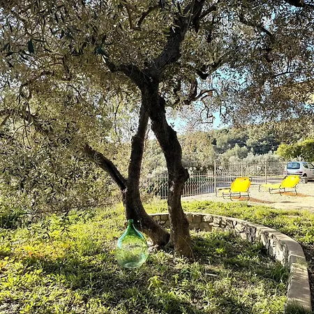 Relax In Con Giardino Privato E Posto Auto דירה *
